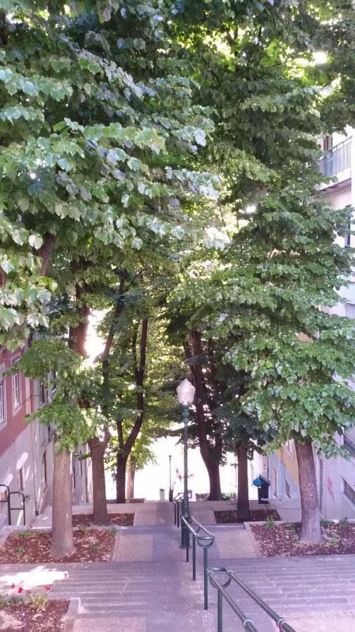 Sunny Orange Garden Apartment In Central Lisboa Eksteriør bilde
